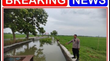 Anggota polsek sukodadi giat Patroli kota presisi giat monitoring cegah terjadinya bencana alam di wilayah sukodadi begini tegasnya!