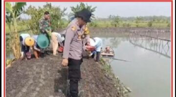Kegiatan monitoring P2B dalam upaya dukung ketahanan pangan bergizi di wilayah kecamatan sukodadi.