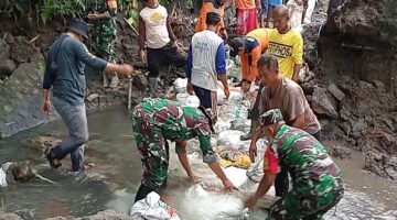 Poktan Tani Makmur Bersama Babinsa Bendo, Bahu Membahu Pasang Talud di Sumber Air Mbah Bendo