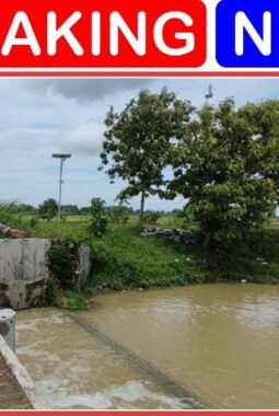 berita-rekomendasi-foto
