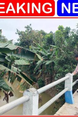 berita-rekomendasi-foto