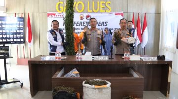 Kasus Ganja Gayo Lues: Kapolres AKBP Hyrowo Jelaskan Peran Ibu, Anak, dan Pemilik Ladang Dalam Rantai Peredaran Narkotika