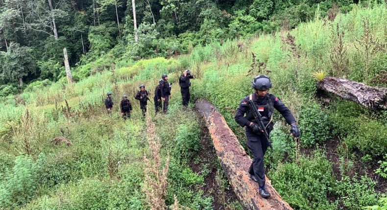 foto slider headline